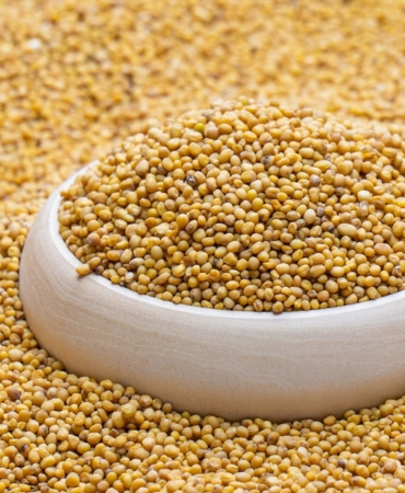 Millets (Bajra)