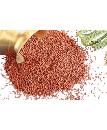 Millets (Ragi)